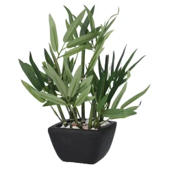 Bambus Im Topf, Grün, 26 Cm