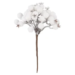 Beeren-Bündel, Weiß