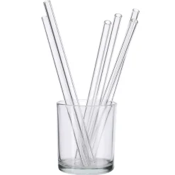 6er Set Glas-Strohhalme, 21 Cm
