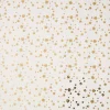 Geschenkpapier Prägung, Sterne/creme, 2 M
