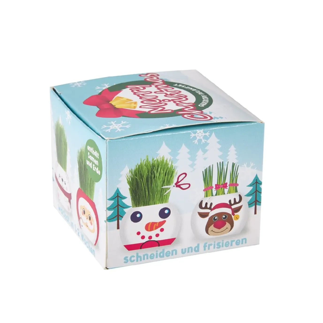 Graskopf Xmas, Weihnachtsmann