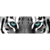 Jumboposter Blue Tiger Eyes, Nr. 16
