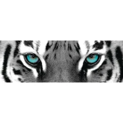 Jumboposter Blue Tiger Eyes, Nr. 16