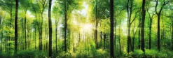 Jumboposter Bright Summer Forest, Nr. 31
