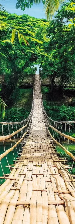 Jumboposter Jungle Bridge, Nr. 37