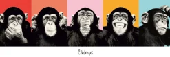 Jumboposter The Chimp - Pop, Nr. 36