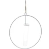 Metallring Mit Reagenzglas, Hängend, Weiß, 15 Cm