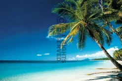 Poster Beach - Morning, Nr. 67