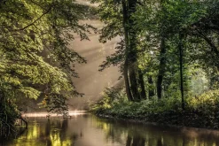 Poster Behind The Corner, Nr. 12