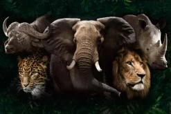 Poster Big Five Of Africa, Nr. 219