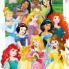 Poster Disney Princess, Nr. 162