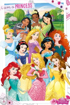Poster Disney Princess, Nr. 162