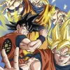 Poster Dragon Ball Z - Goku, Nr. 118
