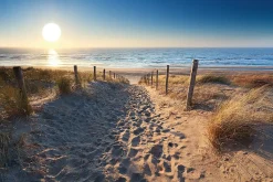 Poster Dune Path, Nr. 88