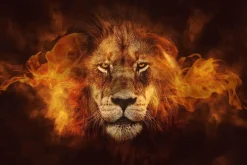 Poster Flaming Lion, Nr. 98