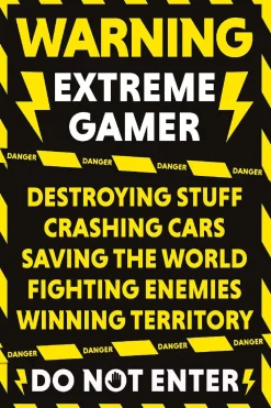 Poster Gamer At Work, Nr. 30