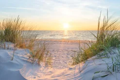 Poster Golden Hour, Nr. 135