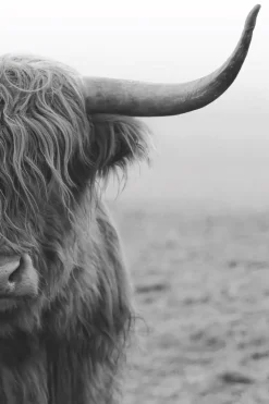 Poster Highlander, Nr. 206