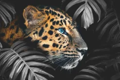 Poster Leopard Leafs, Nr. 108