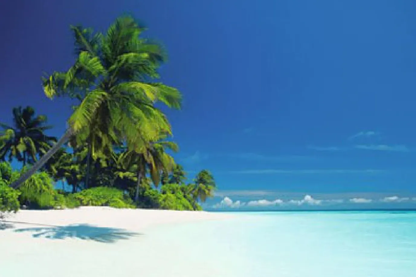 Poster Maldives Lagoon, Nr. 221