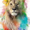 Poster Multicolor Lion, Nr. 94