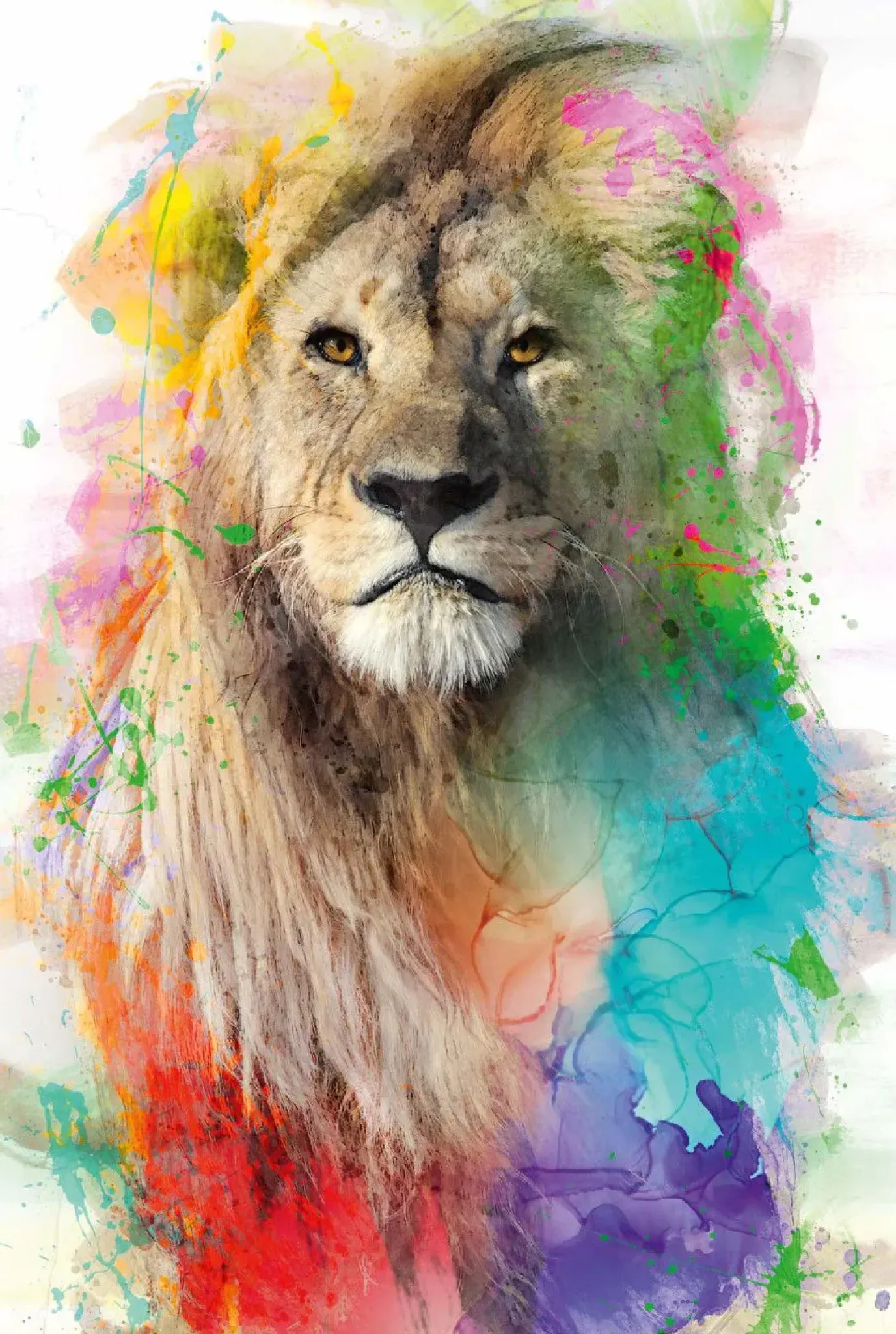 Poster Multicolor Lion, Nr. 94