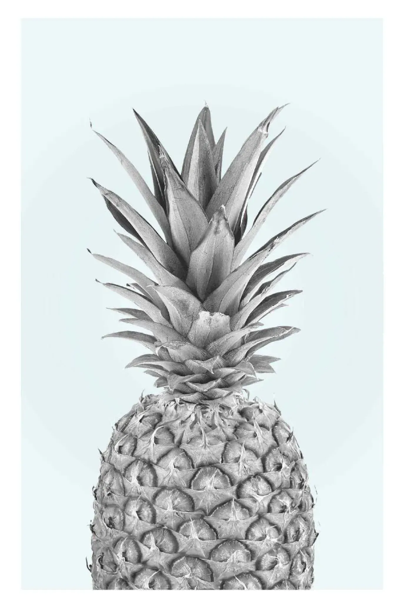 Poster Pineapple, Nr. 51