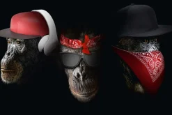 Poster See Speak Hear No Evil, Nr. 46