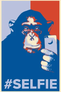 Poster Selfie Monkey, Nr. 199