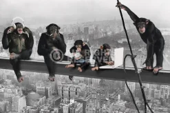 Poster The Chimp - Girder, Nr. 166