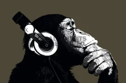 Poster The Chimp - Stereo, Nr. 155