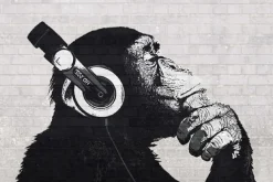 Poster The Chimp Stereo - Wall, Nr. 228