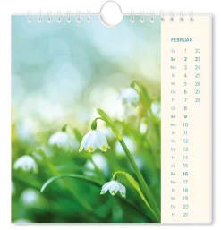 Postkarten Kalender, 2025, Lichtblicke