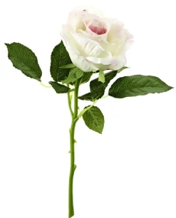 Rose, 30 Cm, Hell-pink