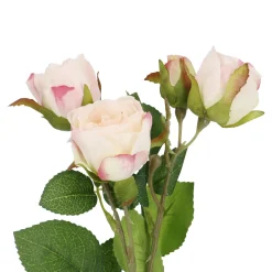 Rose Alina, 3 Blüten/rosa, 38 Cm