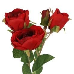 Rose Alina, 3 Blüten/rot, 38 Cm