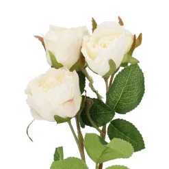 Rose Alina, 3 Blüten/weiß, 38 Cm