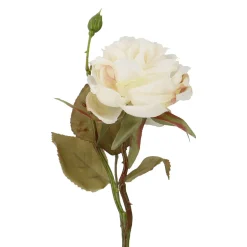 Rose Mathilda, Creme, 45 Cm