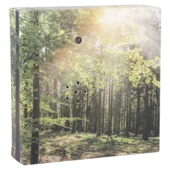 Soundbox Bewegungssensor, Wald, 12 Cm