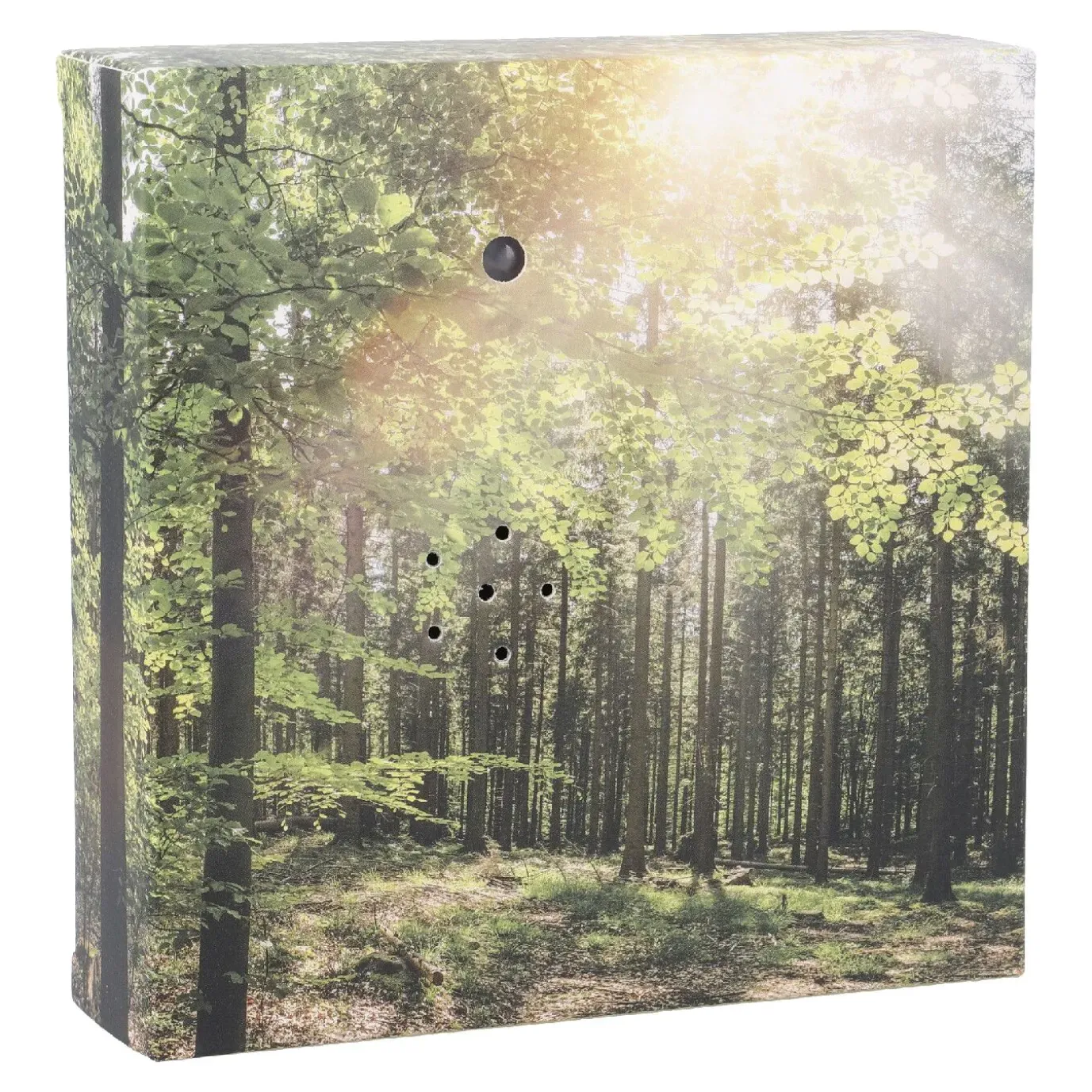 Soundbox Bewegungssensor, Wald, 12 Cm