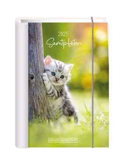 Terminplaner 2025, Samtpfoten