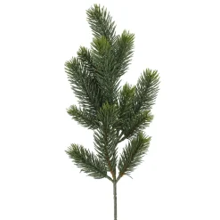 Zweig Edeltanne, 50 Cm