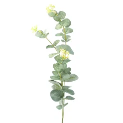 Zweig Eucalyptus, 60 Cm