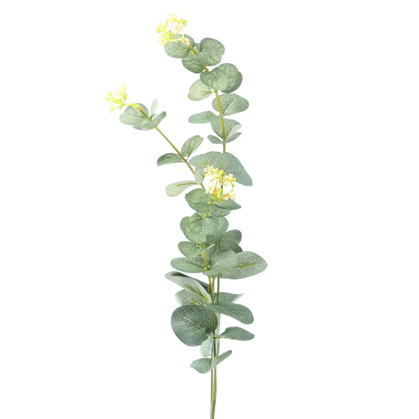 Zweig Eucalyptus, 60 Cm