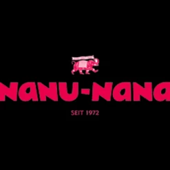 Zweig Tanne, Schnee/Zapfen, 26 Cm